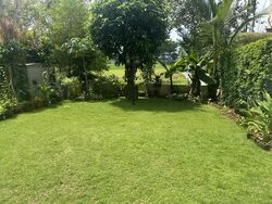 The Inglewood (D20), Terrace #589705241